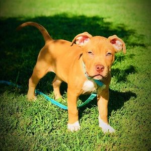 Meet your Posher, Martha